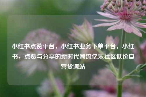 小红书点赞平台，小红书业务下单平台，小红书，点赞与分享的新时代潮流亿乐社区低价自营货源站  第1张