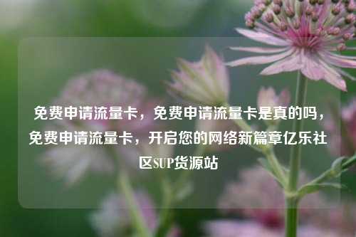 免费申请流量卡，免费申请流量卡是真的吗，免费申请流量卡	，开启您的网络新篇章亿乐社区SUP货源站  第1张