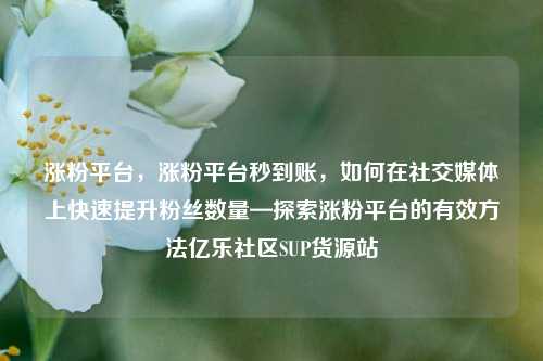 涨粉平台，涨粉平台秒到账，如何在社交媒体上快速提升粉丝数量—探索涨粉平台的有效方法亿乐社区SUP货源站  第1张